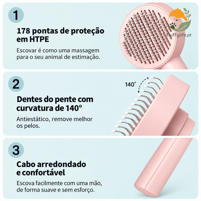Beagle brush