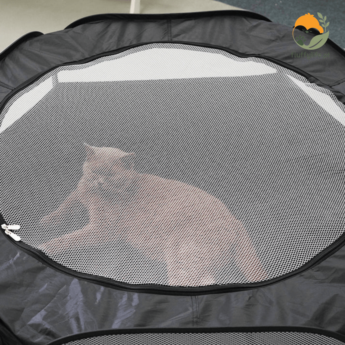 Túnel Snowshoe