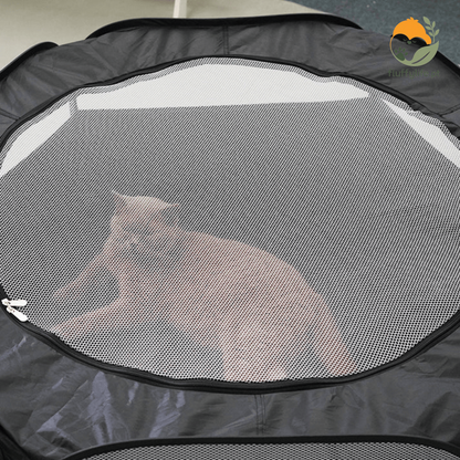 Túnel Snowshoe