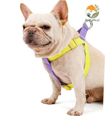 Peitoral e trela Bulldog