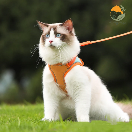 Arnés para gato Angora